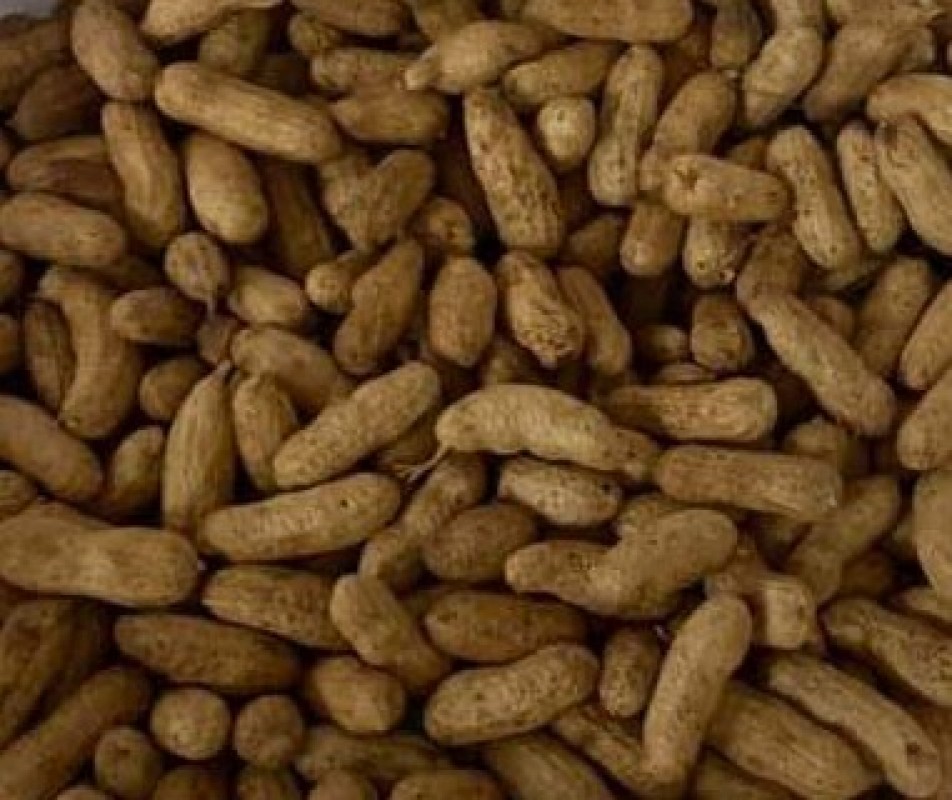 Raw Shell Peanuts from Tonga